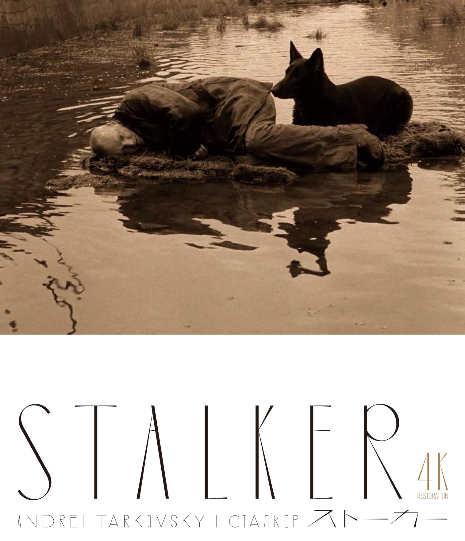 Ivc [Blu-Ray] Stalker Andrei Tarkovsky 162 Minutes Multicolor 0.24 Pounds NEW