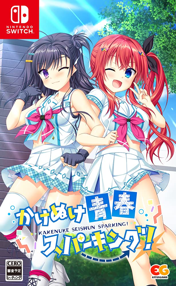 Unopened SW Kakenke Seishun Spark Nintendo Switch Entergram Sealed Bishoujo NEW