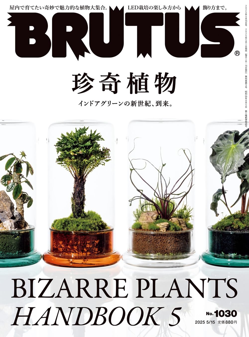 BRUTUS No.1030 Rare Plants Japanese Magazine NEW