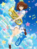 New Hibike Sound Euphonium 2nd Season Blu-ray Box Japan PCXE-60171 4988013798212