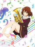 New Hibike Sound Euphonium 1st Season Blu-ray Box Japan PCXE-60170 4988013798113