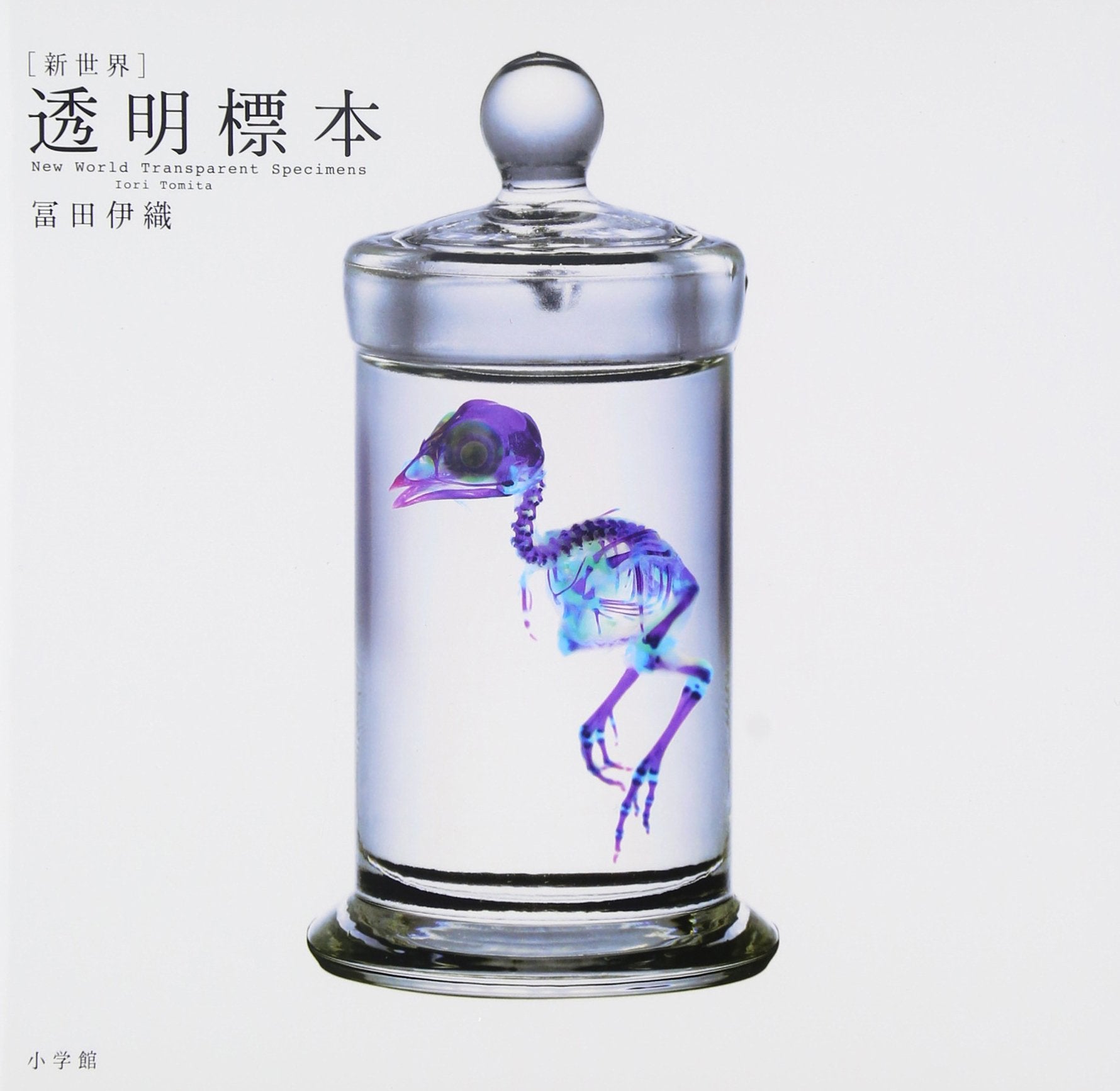 Book New World Transparent Specimen Japanese Iori Tomita Paperback NEW