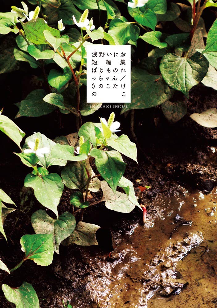 Inio Asano Short Story Collection Bakemono Recchan Kinoko Takenoko Big NEW