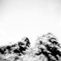 Pictures Pay money To my Pain [P.T.P] [CD] NEW