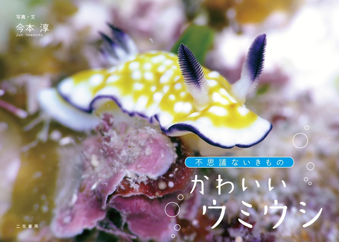 Cute Sea Slugs Photo Book Volume 2 by Jun Imamoto Japanese Book NEW