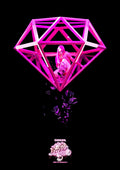 New Chanmina AREA OF DIAMOND 3 Blu-ray Japan SRXL-622 4547366793147 NEW