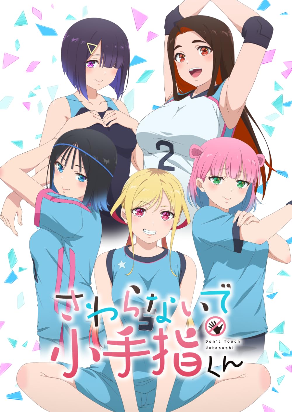 New Hands Off: Sawaranaide Kotesashi-kun Vol.2 Blu-ray+Booklet Japan WVAR-13 NEW