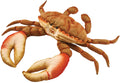 'HANSA Crab Orange BH6312 35 cm Realistic Animal Plush Stuffed Toy NEW'