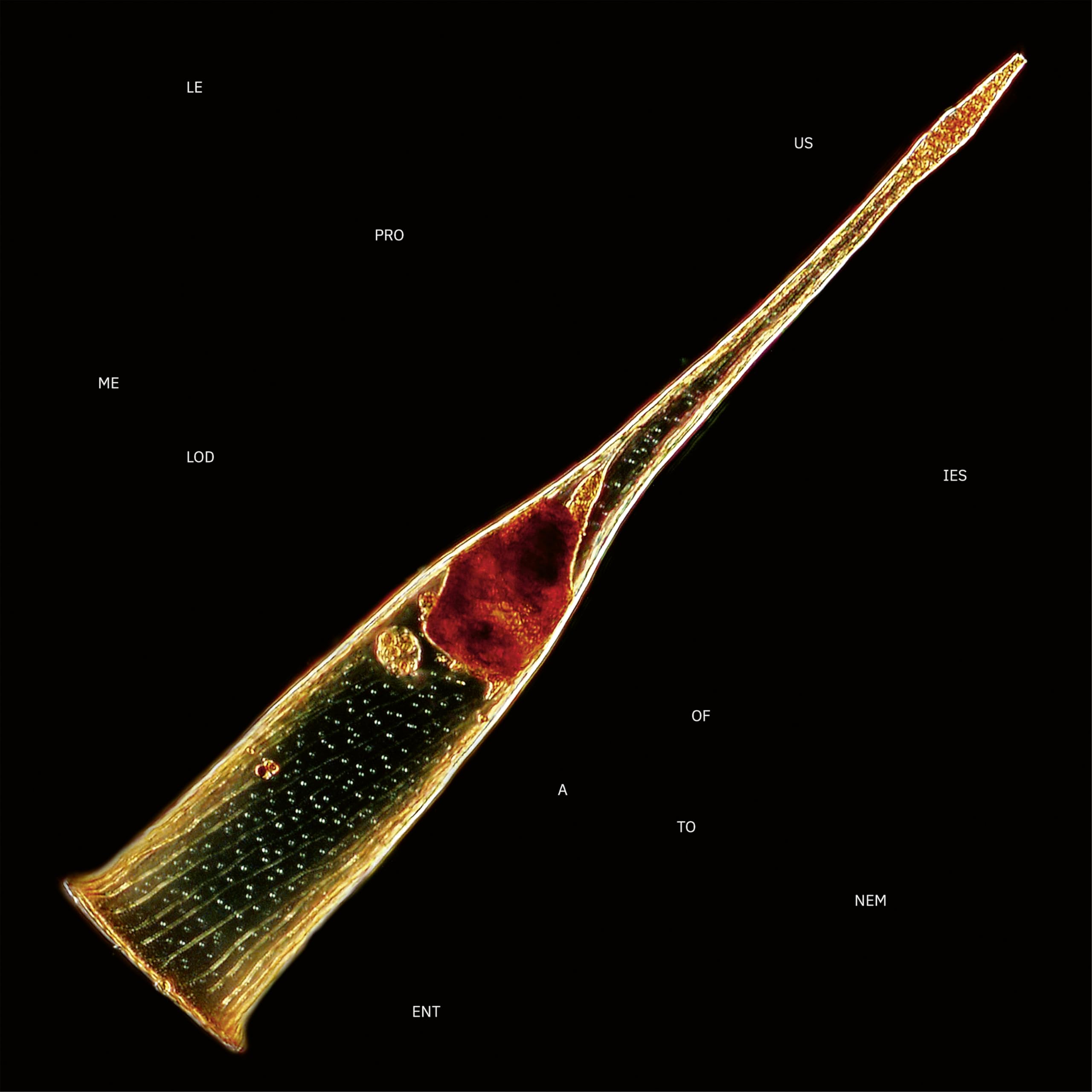 LEPROUS MELODIES OF ATONEMENT WITH BONUS TRACK 2024 JAPAN CD NEW