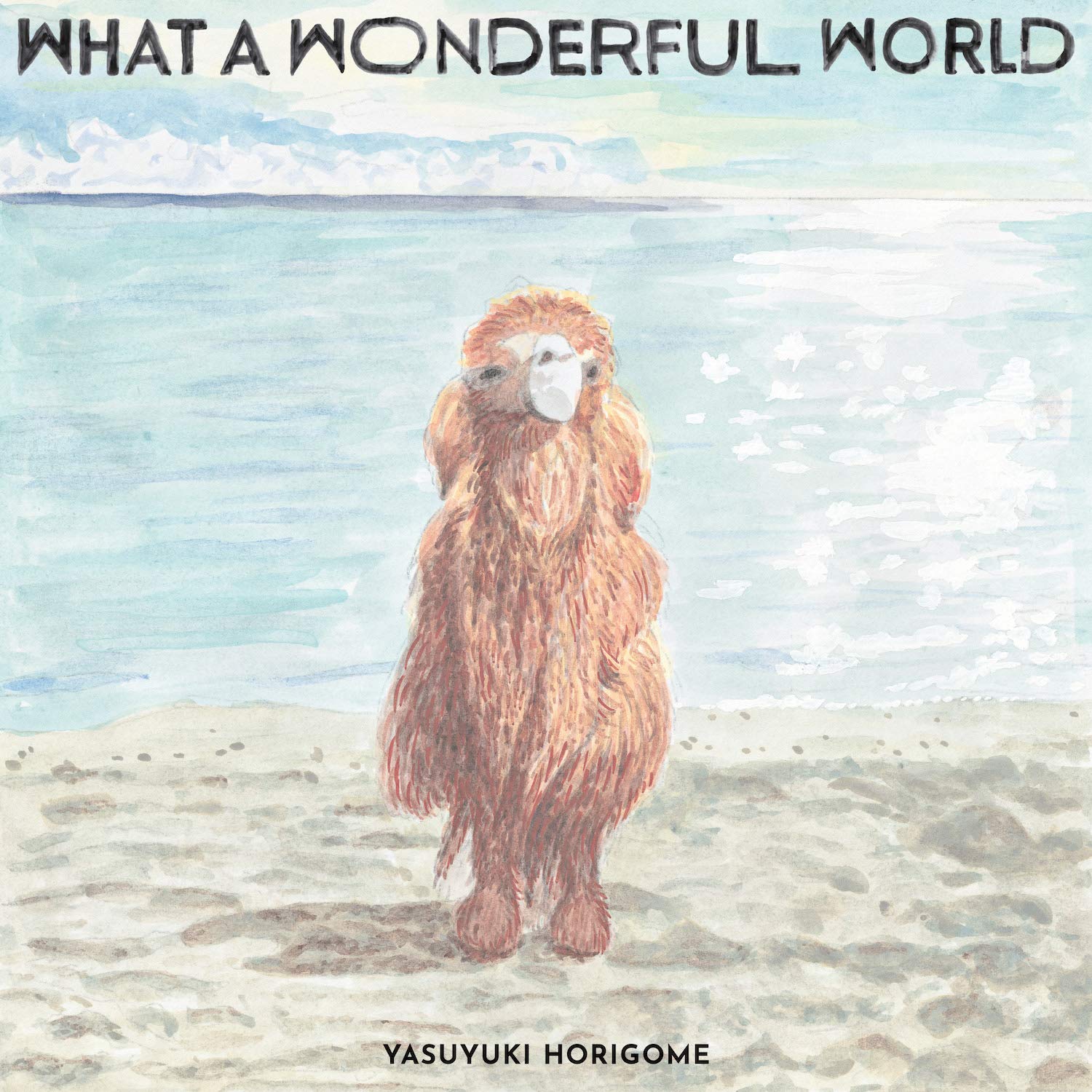 Yasuyuki Horigome/What A Wonderful World COJA9339 New LP NEW