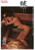THE KEY [DVD] NEW