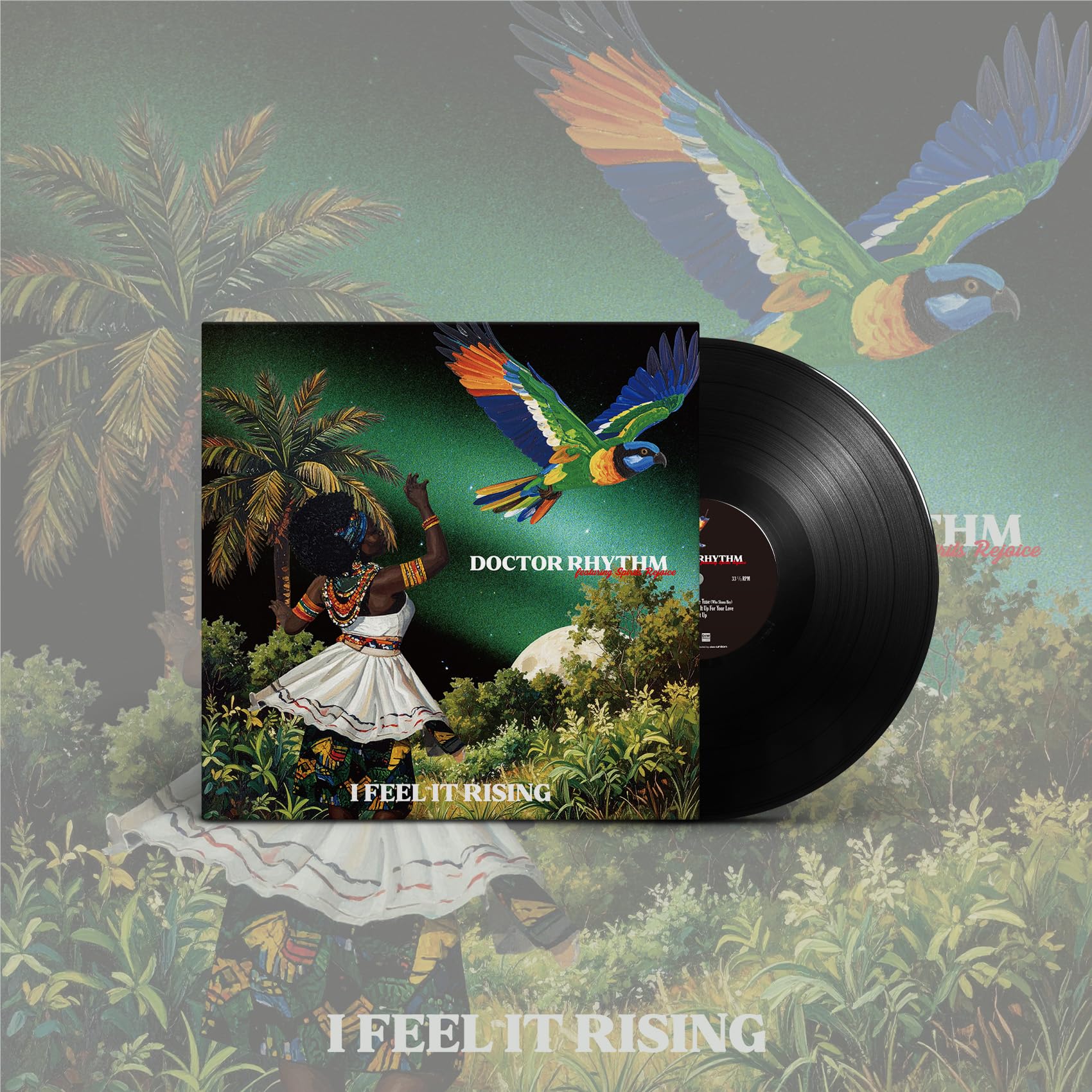 Doctor Rhythm/I Feel It Rising HNGR4 New LP NEW