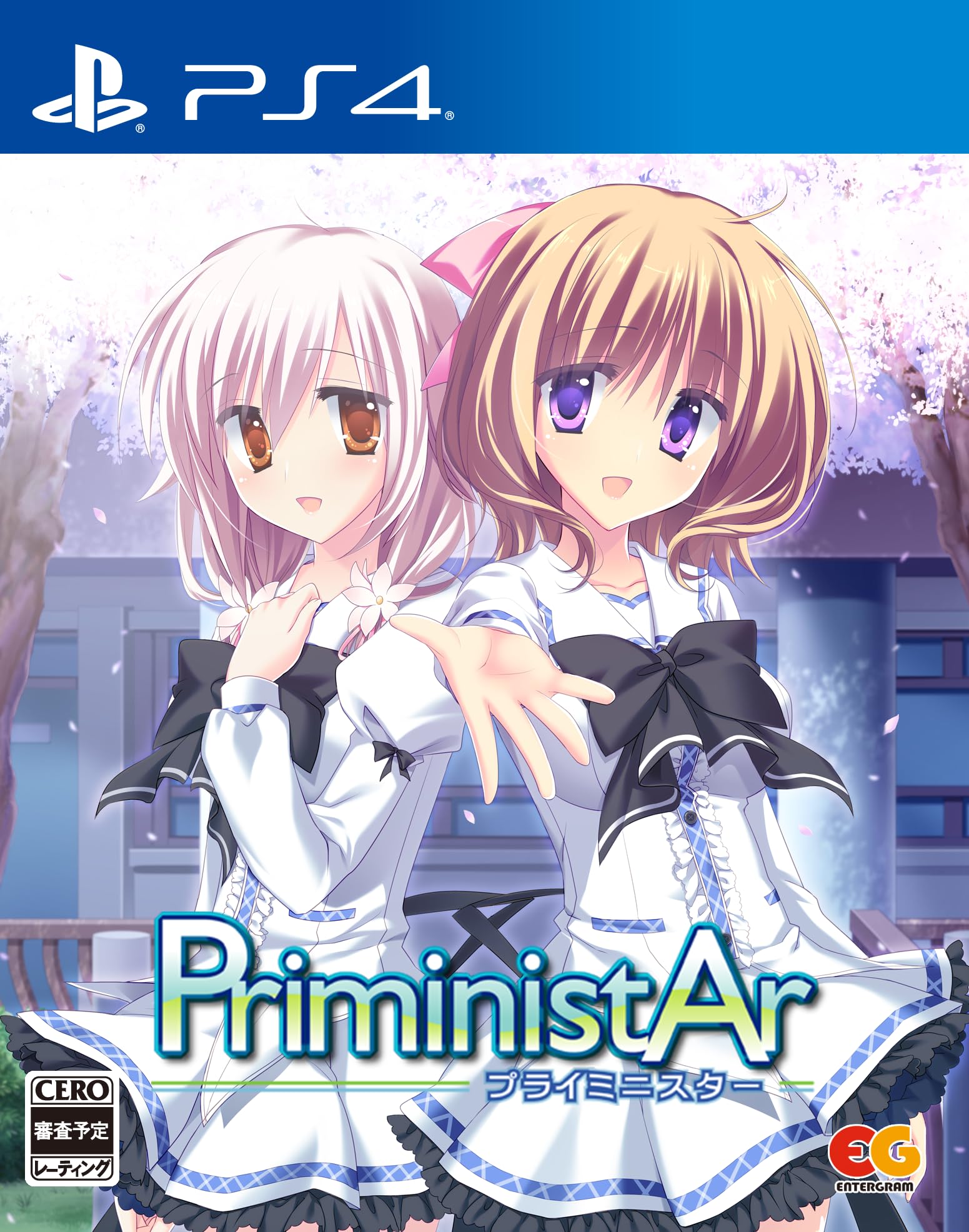 PriministAr - Priminist Sony PlayStation 4 Entergram with tracking #Japan New