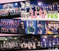 Hello!Project 20th Anniversary!! Hello!Project Hina Fes 2019 [Hel [Blu-ray Disc]