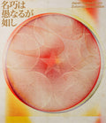 ZUTOMAYO Eien Shinya Banpaku Meiko wa Gu naru ga Gotoshi Blu-ray Regular Edition
