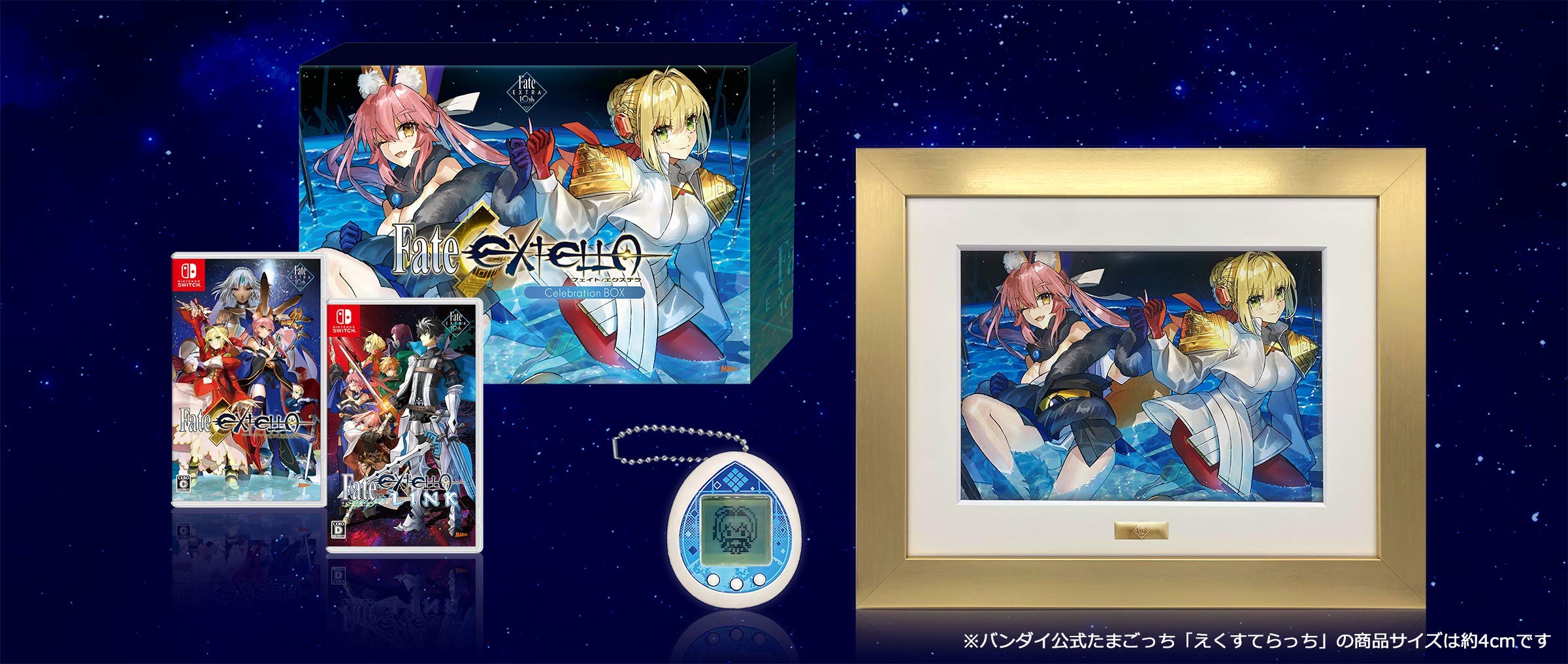 Fate Extella Cerebration Box for Nintendo Switch Boxed Tested Brand New 2021 NEW