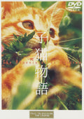 kitten story Masanori Hatake (Director and Screenwriter) [DVD] NEW