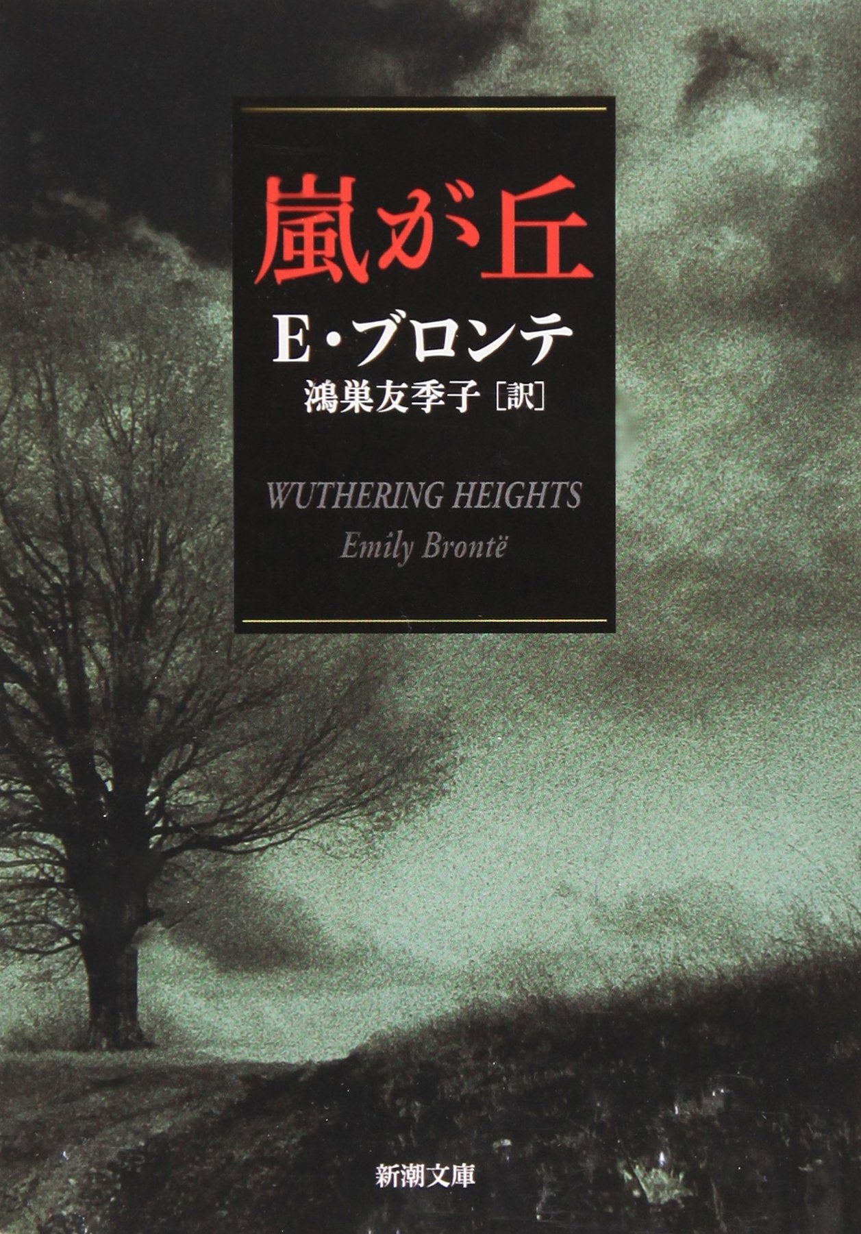 Wuthering Heights (Japanese Edition) NEW