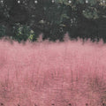 CD All Haze - TESTSET Japan Music (CD) WPCL-13664 Album NEW