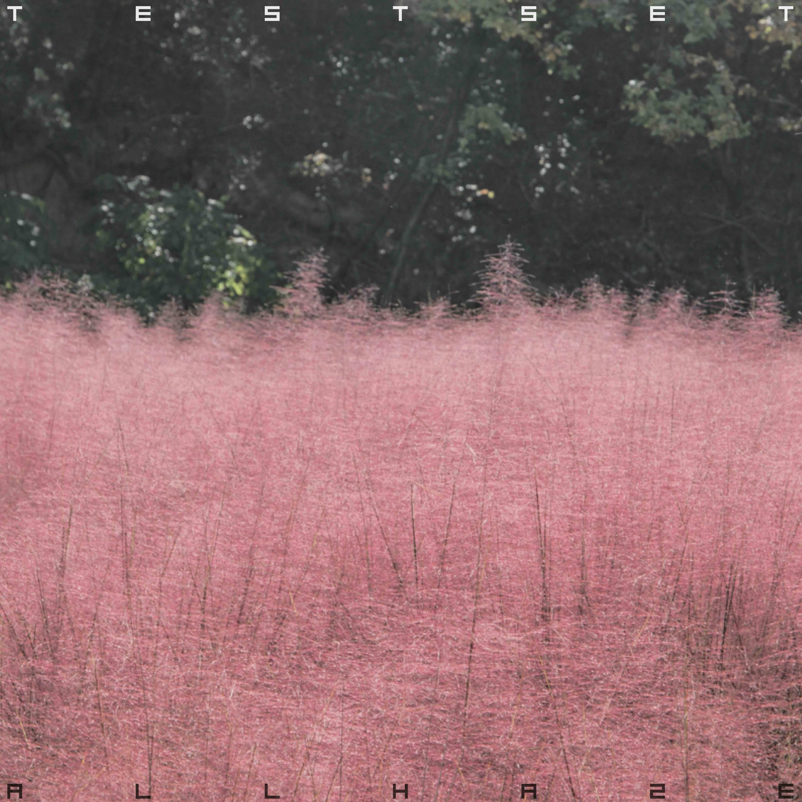 CD All Haze - TESTSET Japan Music (CD) WPCL-13664 Album NEW