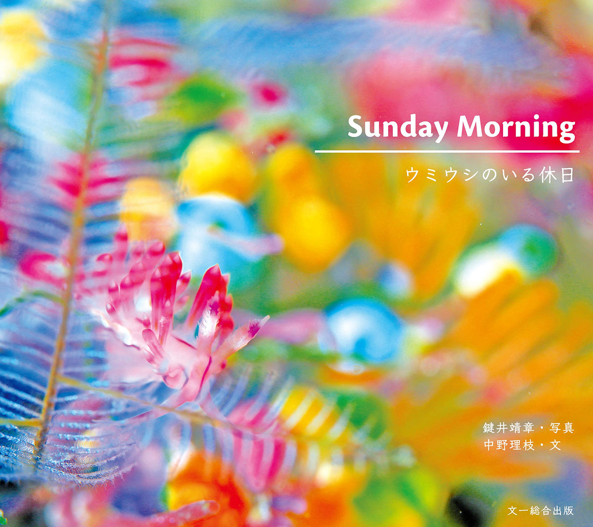 SUNDAY MORNING Sea Slug Holiday: Unique Underwater Photography Book NEW