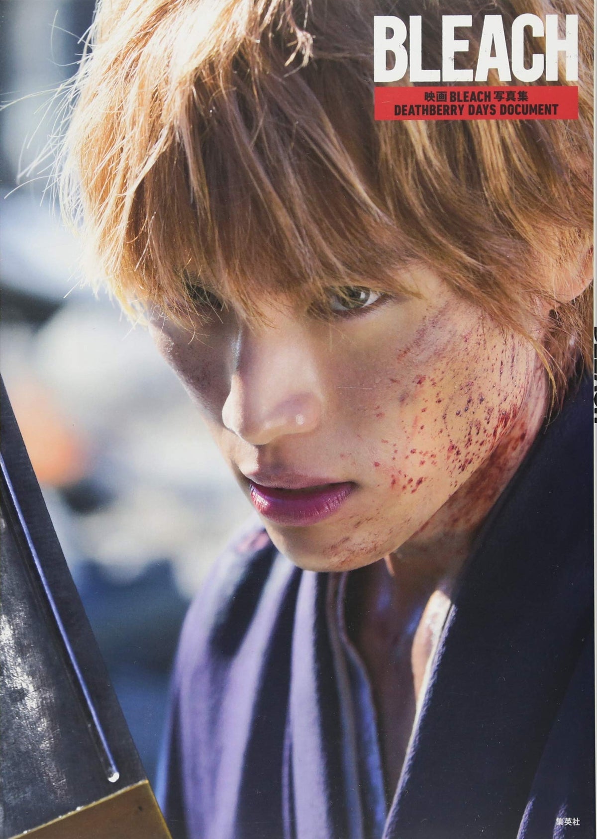 Movie BLEACH Photo Book DEATHBERRY DAYS DOCUMENT NEW