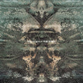 Dir en Grey/MACABRE FWR081 New LP NEW
