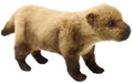 'HANSA Bush Dog Yabuinu Plush BH8146 48cm Realistic Wildlife Stuffed Toy NEW'