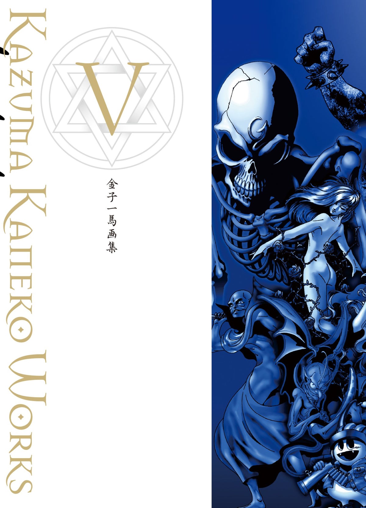 'JAPAN Kazuma Kaneko Works V Shin Megami Devil Summoner Tensei Art Book NEW'