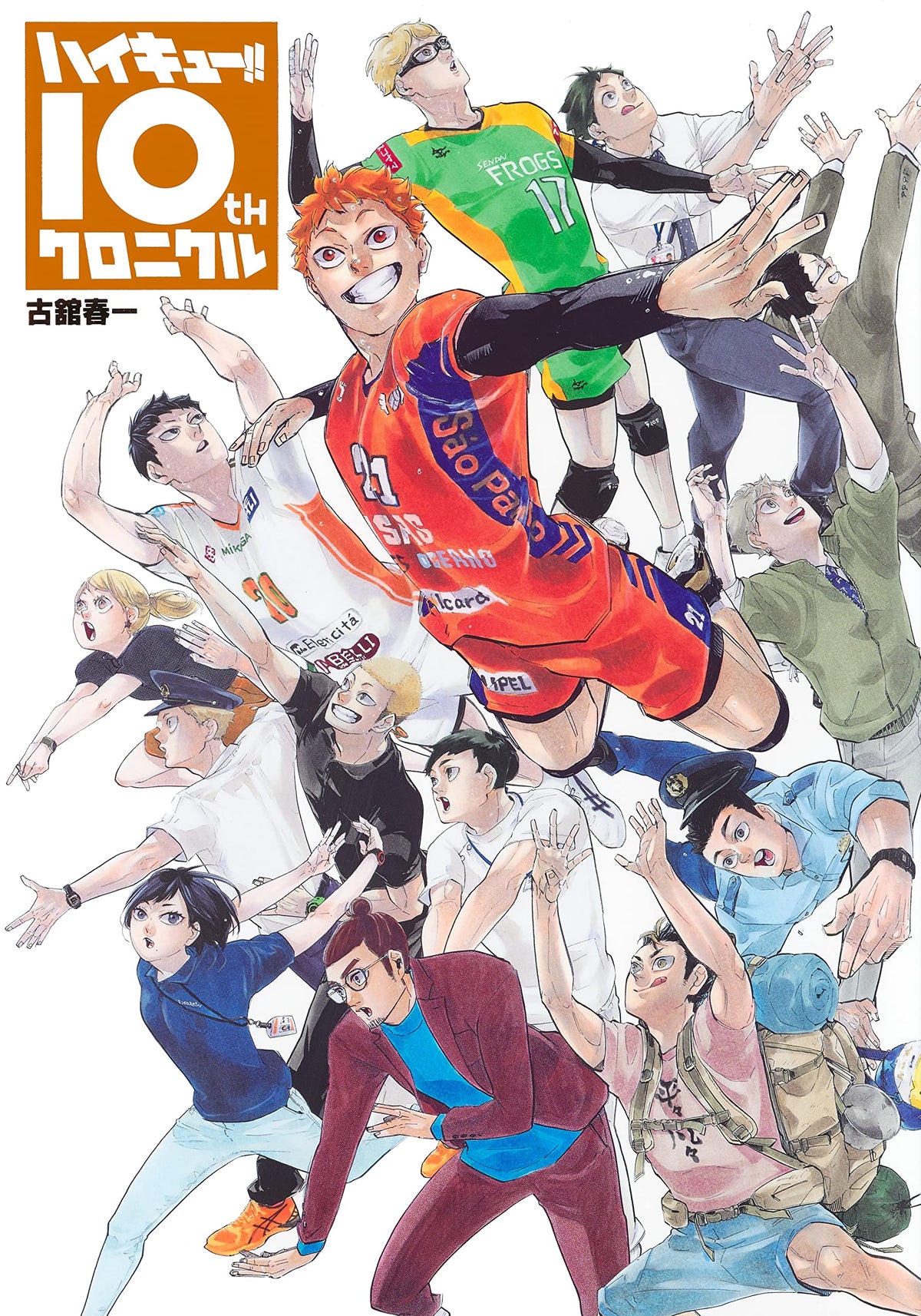 New Haikyu!! 10th Chronicle Anniversary Art Book Standard Edition Book Japan NEW
