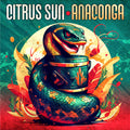 11B CITRUS SUN FEAT BLUEY (INCOGNITO) ANACONGA 2024 JAPAN CD NEW