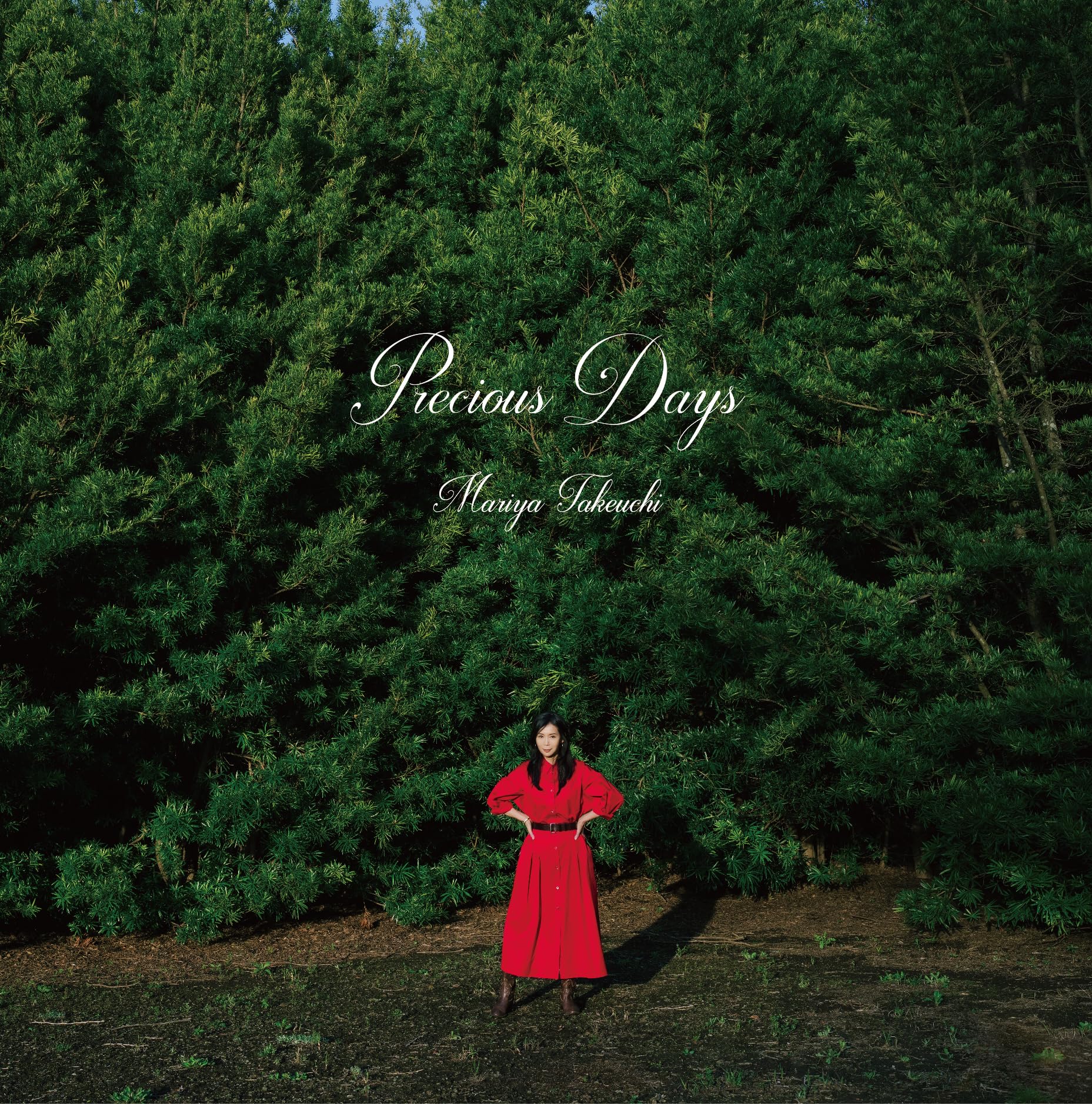 Mariya Takeuchi/Precious Days (2LP/180g) WPJL10222 New LP NEW
