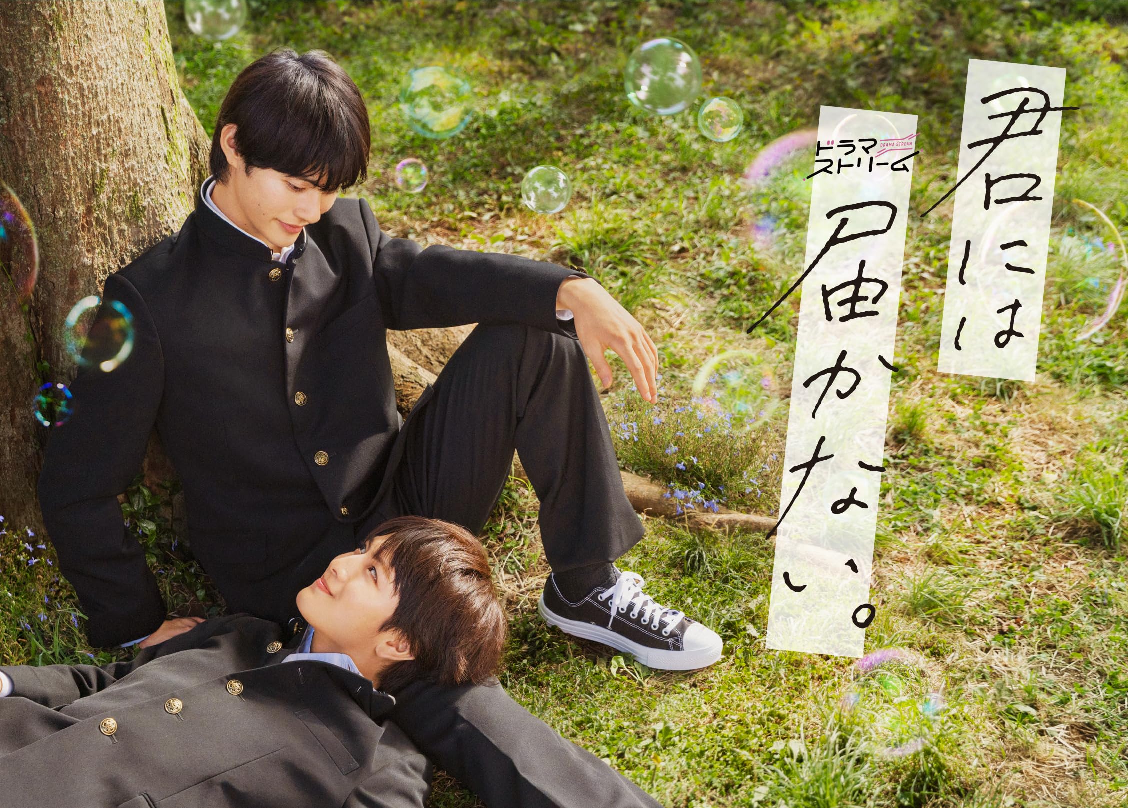 I Cannot Reach You Bluray BOX Japanese BL Drama Kimi ni wa Todokanai Region free
