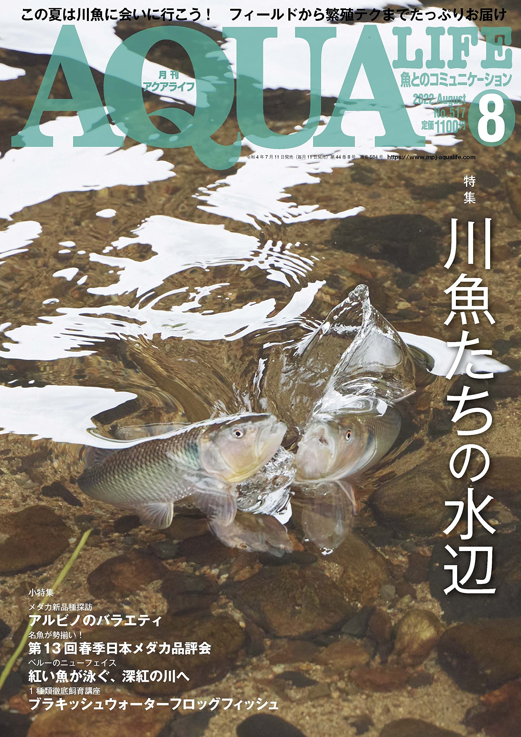 AQUA LIFE January 2026 Medaka Japanese Rice Fish Japanese Aquarium Magazine NEW