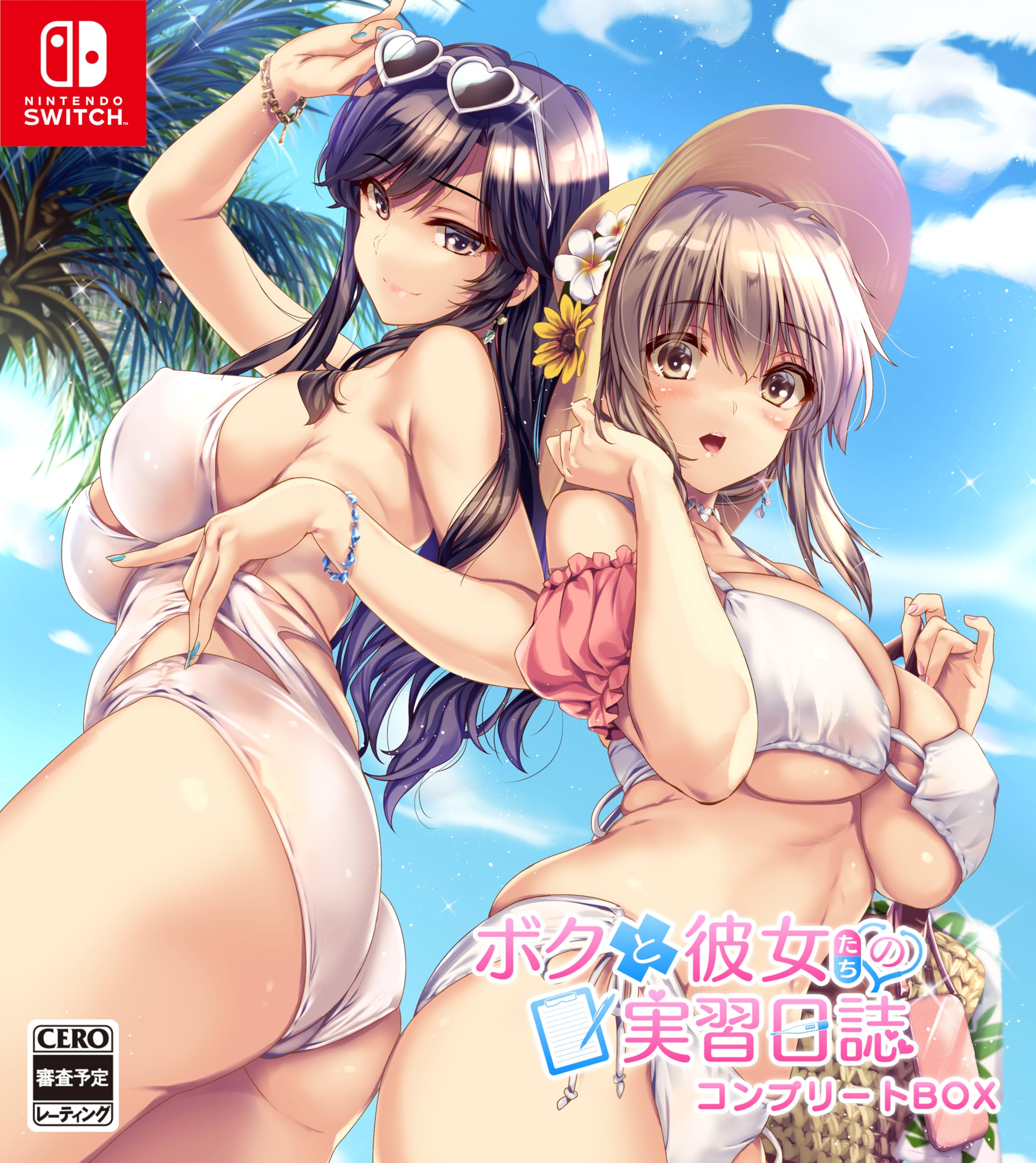 Switching the health check diary: Teamwork in paradise. complete box japan NEW