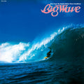 Tatsuro Yamashita/BIG WAVE (2025 Vinyl Edition) WPJL10259 New LP NEW