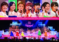 Berryz Kobo 10th Anniversary Concert Tour 2014 Autumn ~Profession Berryz K [DVD]