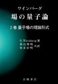 Quantum Field Theory (2 Volumes) (Physics Series 77) S.Weinberg [Book] NEW